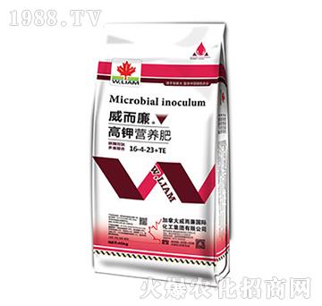 ��⛠I�B(y��ng)��16-4-23+TE-������