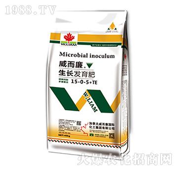 ���L�l(f��)����15-0-5+TE-������