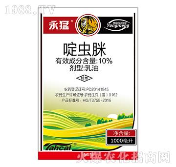 10%��x��-����-̩�̻���