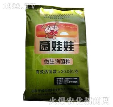 ΢�������-������-��������