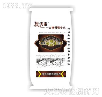 �������\�F�V��-�S������