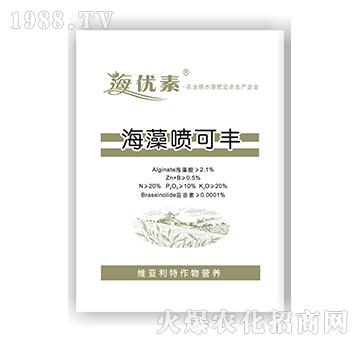 ���凊���S-�S������