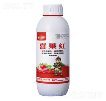 1000�˲�ݮ����ϲ���t-��ڌ�-�{(l��n)���r(n��ng)��