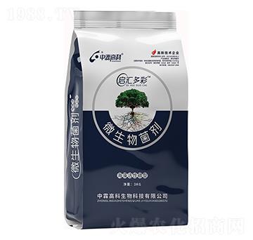 ΢�������-���R���-���ظ߿�