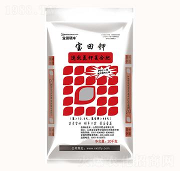 20ǧ�ˌ����-����ʘI(y��)