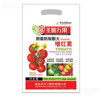 Ě������������t��-ʥ���f��-������