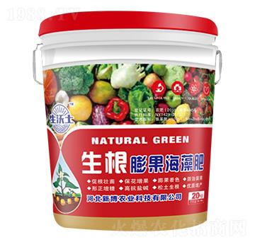 ������������-������-�²��r�I(y��)