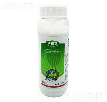 2.5%(li��n)������-�����r(n��ng)-������