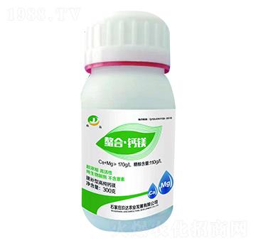 ���ϡ��}�V-���_(d��)