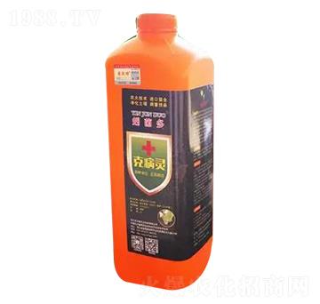 �˲��`-����-�r�־G