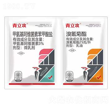 �������+�װ������S���ر������}-������-��������