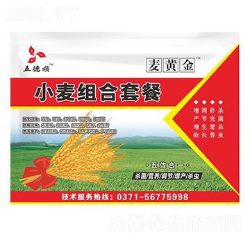 С���M���ײ�-���S��-����