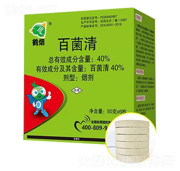 40%�پ���-�Q��-ʥ��ɭ����