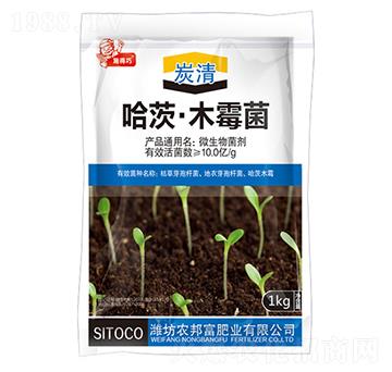 ���ġ�ľù��-̿��-�r(n��ng)�