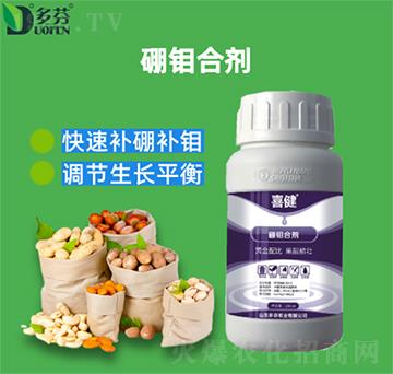 ���f�τ�-ϲ��-����r(n��ng)�I(y��)