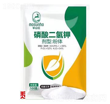 ��������-���p��