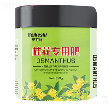 �𻨌�(zhu��n)�÷�-�r(n��ng)������