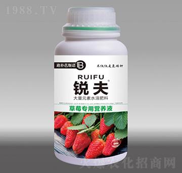 ��ݮ���àI(y��ng)�B(y��ng)Һ-�J��-�Ϙ��˹�Z