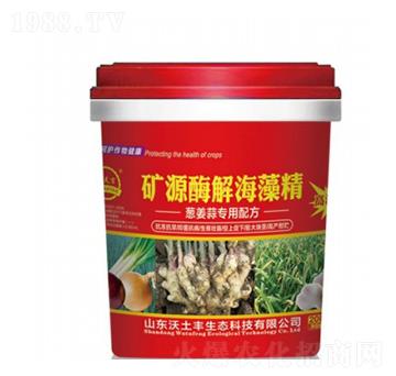 �VԴø�⺣�徫-�����S