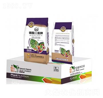 10kg��������-�����S