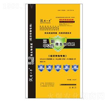 �����в�ˎ΢����̼��-���S����