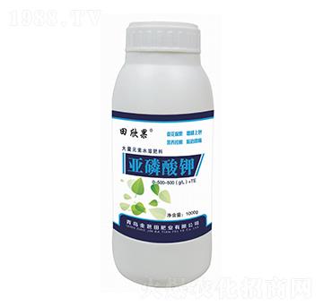 �������-������-�����