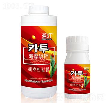 �{���������-���Վ�����