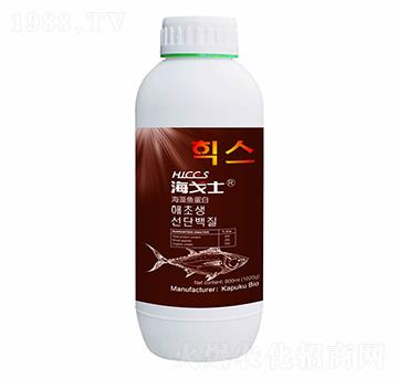 �����~����-����ʿ-���Վ�����