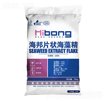 ���徫Ƭ-�������