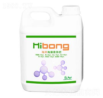 ����Һ�w��-�������