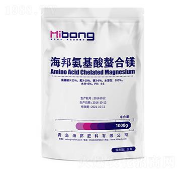 �����������V-�������