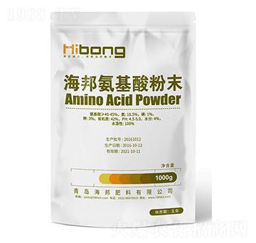 �������ĩ-�������