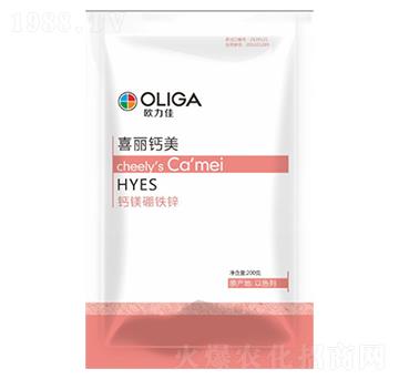 ϲ���}��-�W����