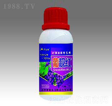 ���n�t-�������