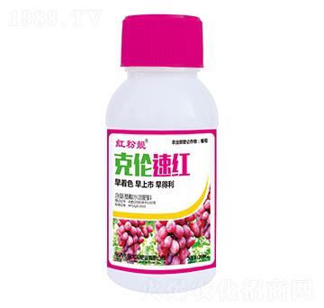 �˂��ټt-�������