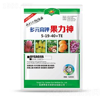 ��Ԫ��⛹�����5-19-40+TE-�������