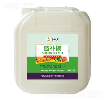 ʢ�a(b��)�V-С����-�Ʒ����