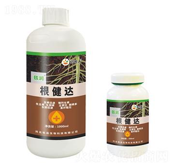 �����_(d��)-Ɲ��(r��n)-�Ʒ����