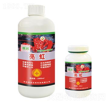 ����-Ɲ��(r��n)-�Ʒ����