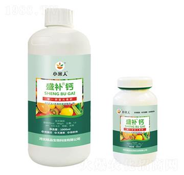 ƿ�bʢ�a(b��)�}-С����-�Ʒ����