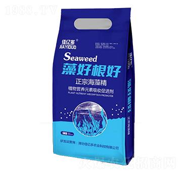 ��ø��ú��徫-�у|��