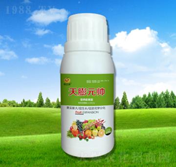 ����Ԫ��-���_(d��)���ʘI(y��)