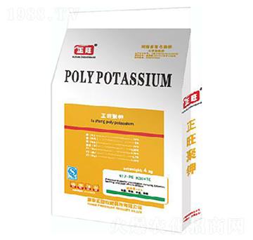 �������12-5-30+TE-�����r��