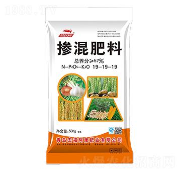 �������19-19-19-�긣����