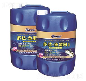 �����~(y��)����-�|�p�A(y��ng)-������