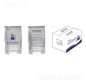 �VԴ�S�����-�����-�|�\�ʘI(y��)