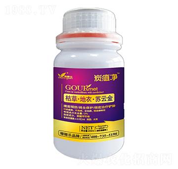 �ݲݡ����¡��K�ƽ�-̿�҃�-�ڼژ�(l��)