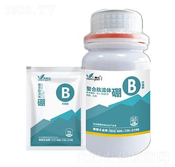 ���������w��-�ڼژ�