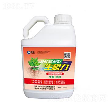 ������-����