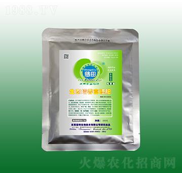 ���B(t��i)���㸻����-��������